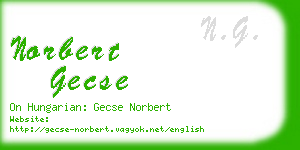 norbert gecse business card